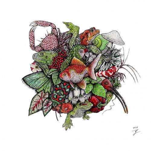 藤森太樹 | Wunderkammer Small_Chunks(ep.)“Margherita”(RGW) | 紙上鋼筆水彩畫 | 18 x 18 公分 | 2026