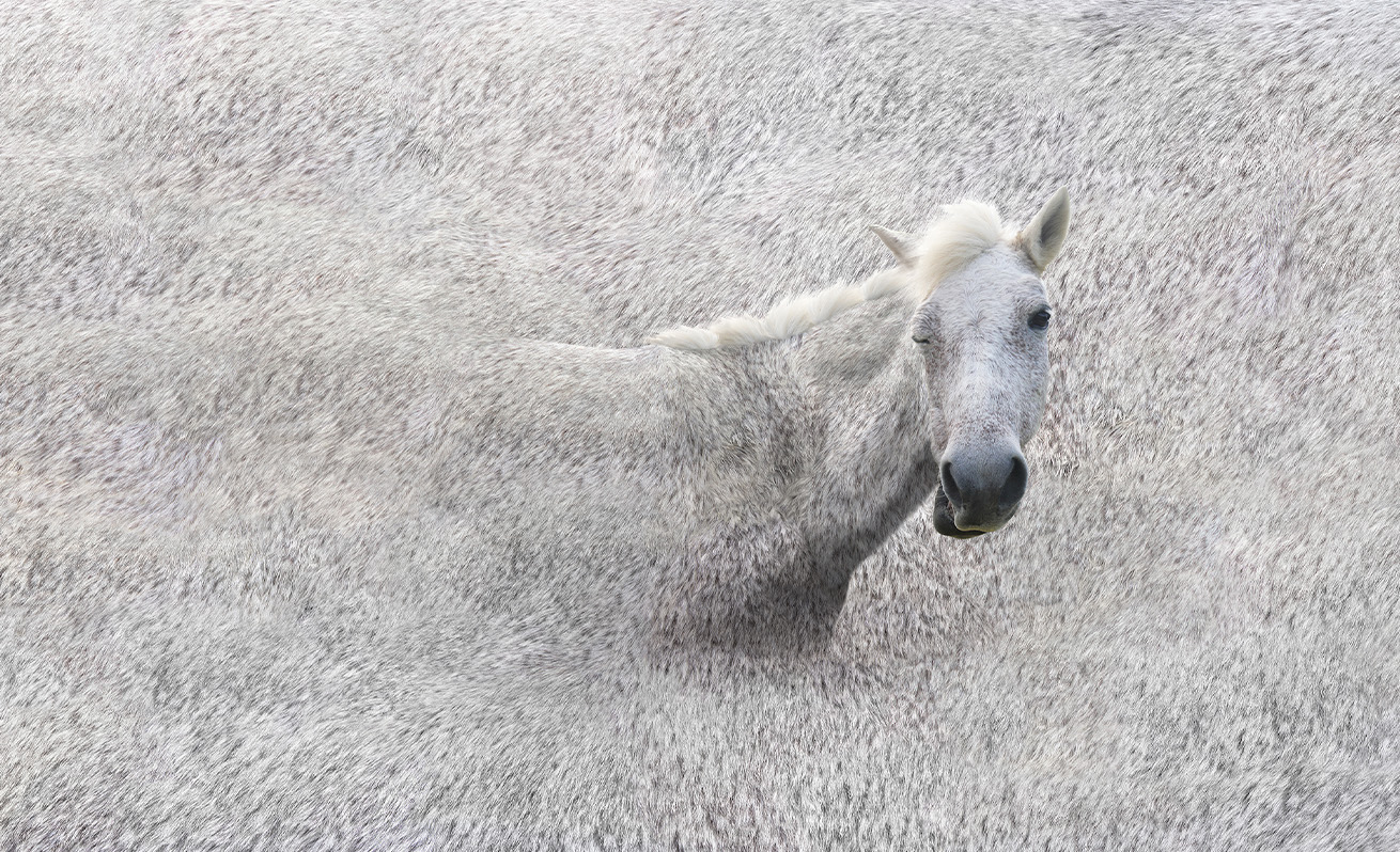 The Moolah Multi-Art Space 暮拉多元藝術空間