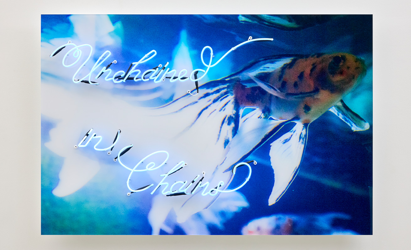 Tomio Koyama Gallery 小山登美夫畫廊