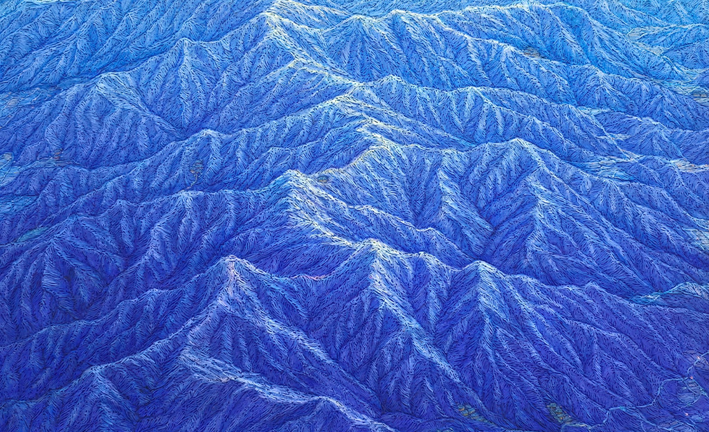 Wolha Art