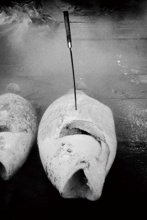 AKI Gallery 也趣藝廊_Chao-Liang SHEN 沈昭良_Tsukiji Fish Market 05 築地魚市場 05