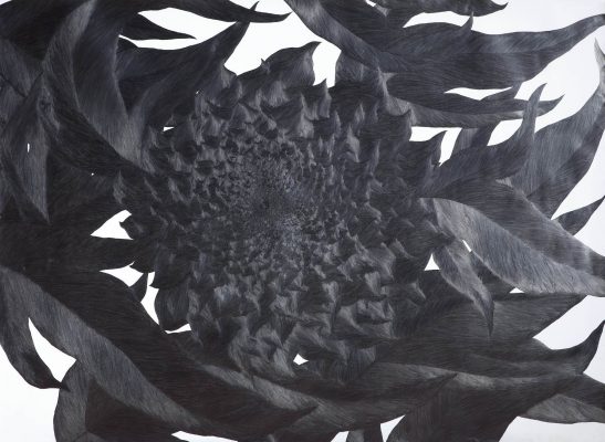 Gallery MAC_Eunju KIM_Wind_Pencil on paper