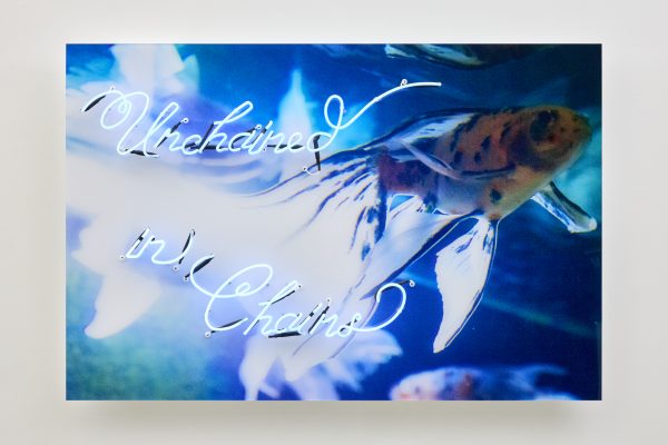 Tomio Koyama Gallery_Mika NINAGAWA_Unchained in Chains_C-print mounted on plexiglas, neon tube_97.0 x 145.6 cm_2023 - Tomio Koyama