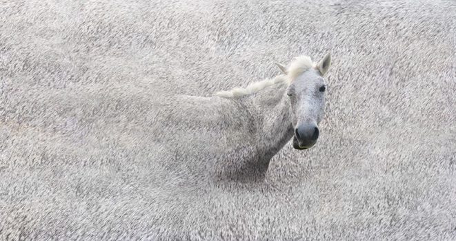 暮拉多元藝術空間