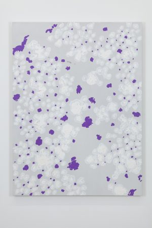 S__132366350_0